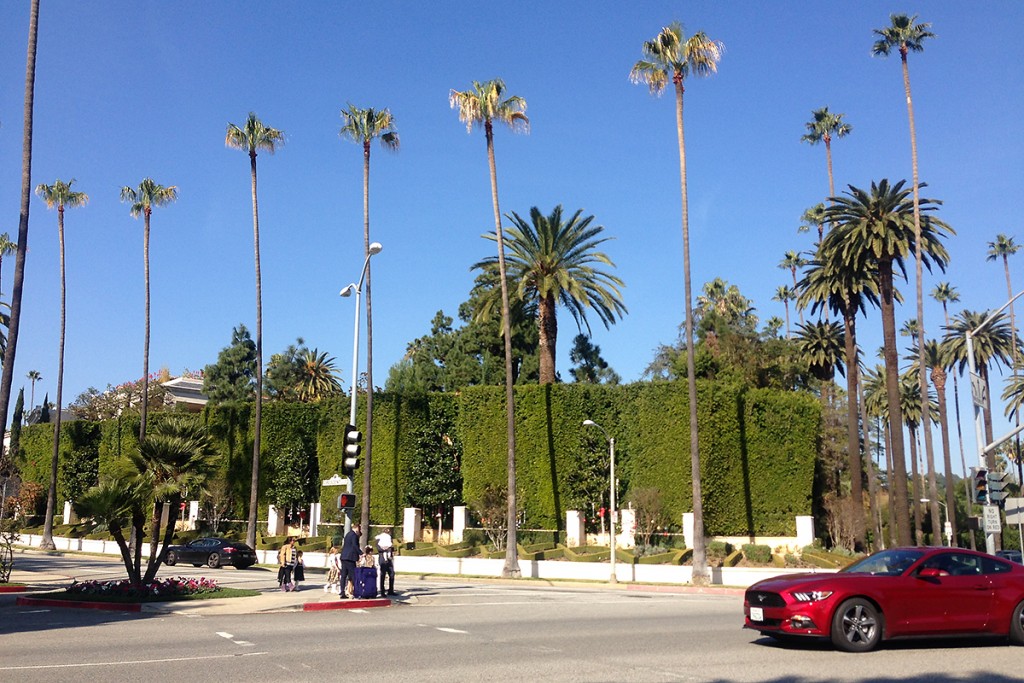 Los-Angeles_Beverly-Hills