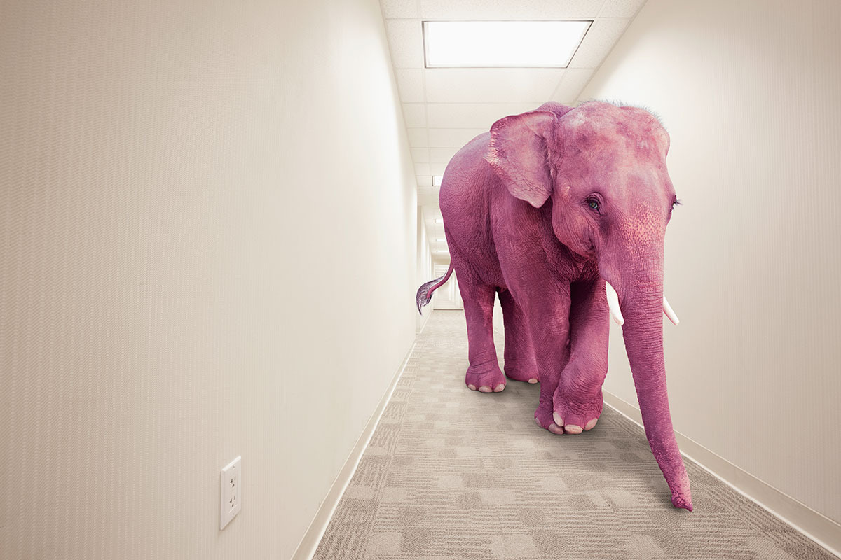 Pink-elephant