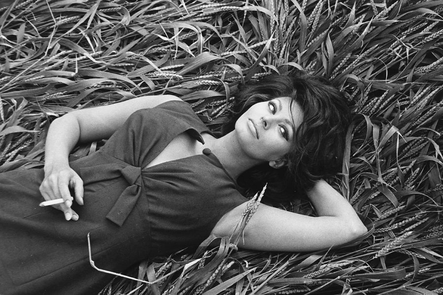 15 fotografii superbe cu Sophia Loren!