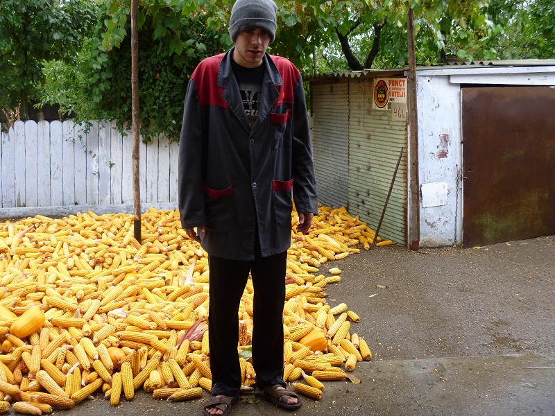 Denis Hanganu
